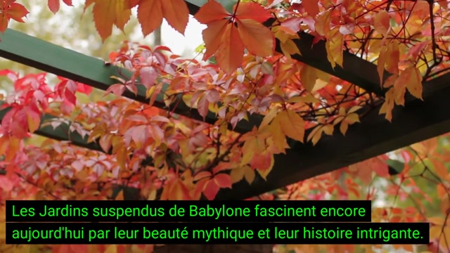 babylone